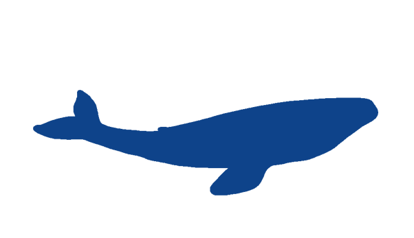 Hvalur