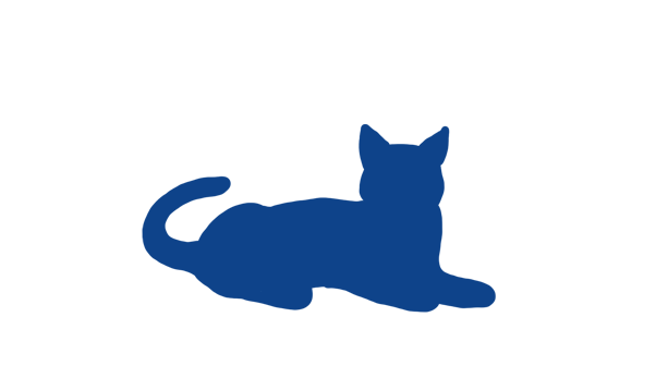 Kisa
