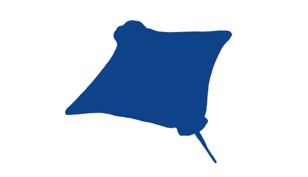 Skata